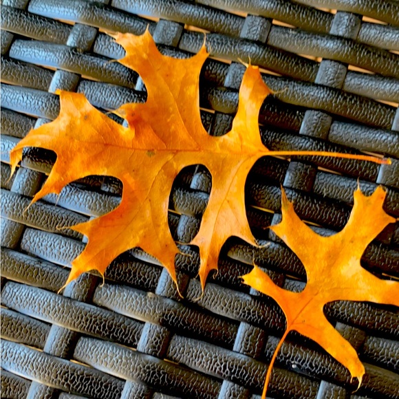 LIVE notification - let’s posh when I go live. - Picture 4 of 11